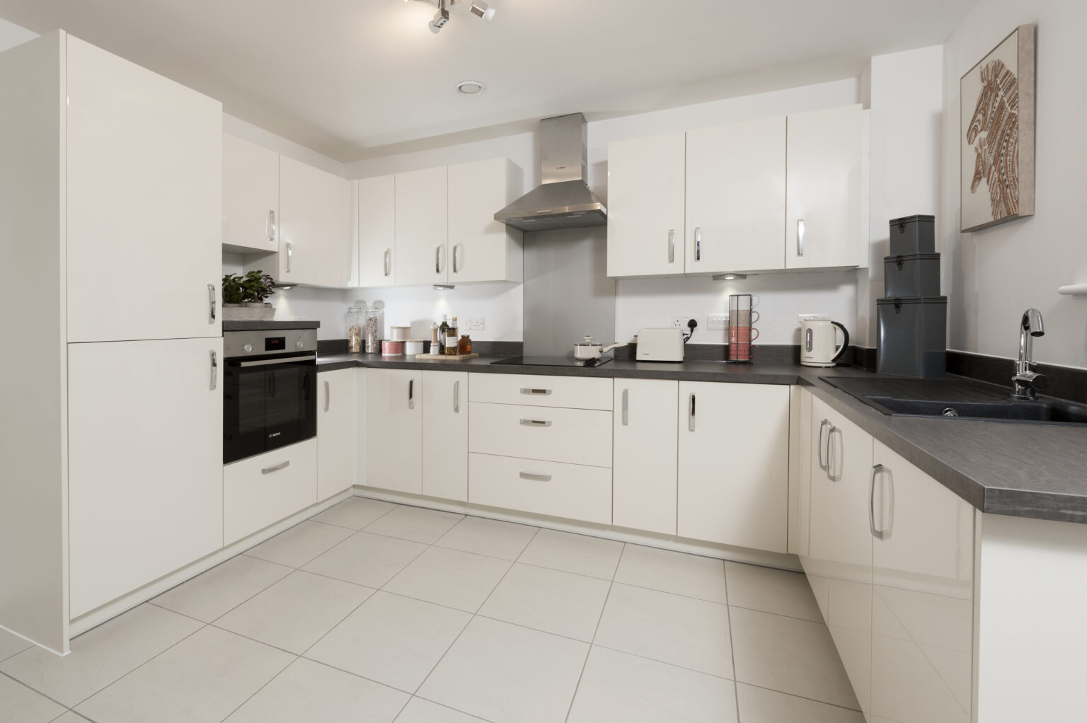 Sycamore Court 1 bed kitchen
